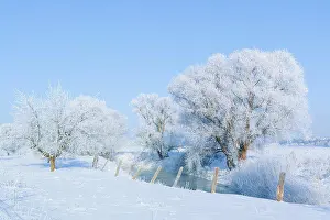 People In Nature Prints: A snow-covered landscape in the winter sun