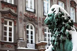Upper Bavaria Prints: Snow covered lion bronze statue in front of Residenz