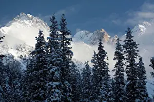 Capital Cities Prints: Snow covered trees with Tian Shan Mountains in the background, Bishkek, Kyrgyzstan
