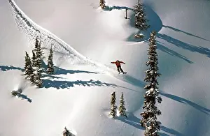 Powder Prints: snowboard man powder trees winter