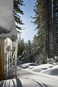 Without People Prints: Snowed In Yard, Lake Tahoe, California, USA