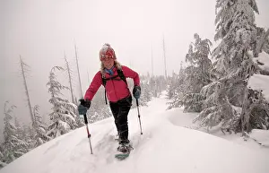 Snowing Prints: Snowshoeing on the Howe Sound Crest Trail