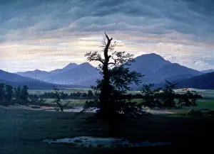 Solitary Prints: Solitary Tree, 1823. Oil on Canvas by Caspar David Friedrich (1774 - 1840)