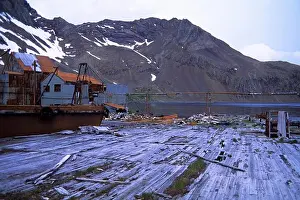 Harbour Prints: SOUTH GEORGIA ISLAND, LEITH HARBOR, OLD WHALING STATION, FLENSING DECK