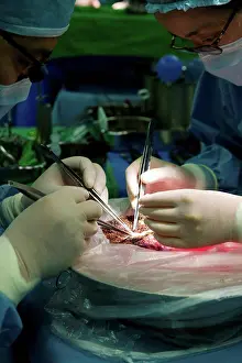 South Korea Prints: South Korea, Seoul, Samsung Medical Center, surgeons performing liver transplant