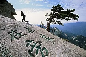 Inscription Prints: South Peak, pine tree, chinese characters engraved in stone