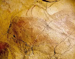 Cave Prints: Spain, Santillana del Mar, Altamira Caves, Cave Paintings, Prehistoric Art