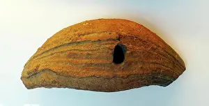 Volcanic Prints: Spindle bomb from Vesuvius, Italy