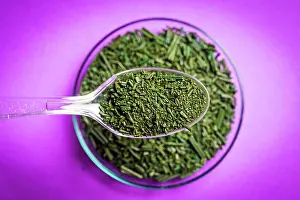Drug Prints: Spirulina algae health