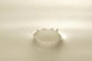 Doubleview Series Prints: Splash in milk creating crown of milk droplets, close-up