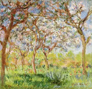 Western Art Prints: Spring At Giverny. Printemps A Giverny. Claude Monet (1840-1926). Oil On Canvas