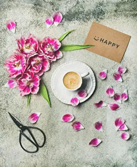 Tulip Prints: Spring morning concept