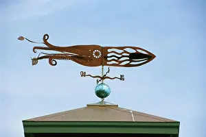 Massachusetts Prints: A squid-shaped weather vane atop a cupola.; Chatham, Cape Cod, Massachusetts