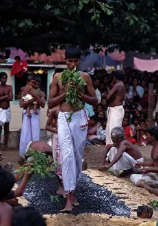 Hindus Prints: Sri Lanka, Religion, Hinduism, Punnaccolai Festival