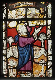 Stars Prints: St Neots, Cornwall God creates the sun the moon and the stars 16th century stained glass