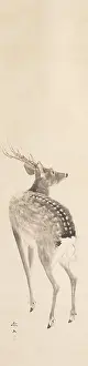 Gods Prints: Stag, c. 1815, Mori Tetsuzan, Japanese