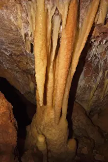 Limestone Prints: Stalactites creating a column with stalagmite below at Ngilgi Cave
