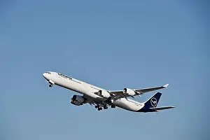 Aviation Prints: Start, Lufthansa Airbus, A340-600