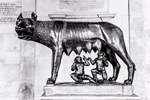 Story Prints: Statue of the mythical she-wolf suckling the infant twins Romulus and Remus in Rome