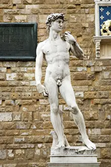 Florence Prints: Statue replica of David by Michelangelo di Lodovico Buonarroti Simoni, Florence, Italy
