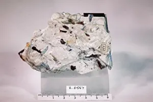 Mineral Prints: Staurolite. minerals. Europe; Switzerland; Ticino Canton; St. Gotthard