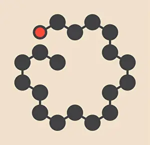 Compound Prints: Stearyl alcohol molecule. Constituent of cetostearyl alcohol (cetearyl alcohol)