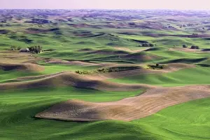 Purestock Prints: Steptoe Butte Washington USA