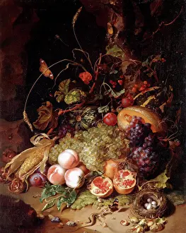 102012upload Prints: Still-life with Fruit and Insects. Rachel Ruysch (1664-1750). Oil on canvas. 87 x 69.5cm