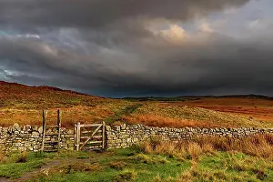 Stone Wall Prints: Stone wall in autumn landscape with dark sky, Greenhead, Northumberland, Great Britain