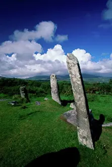 Cork Prints: Stones in a field, Derrintaggart West Stone Circle, Castletown, County Cork, Ireland