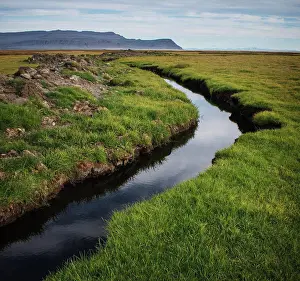 Pond Prints: Stream running through the Westfjords, Iceland, Scandinavia, Europe