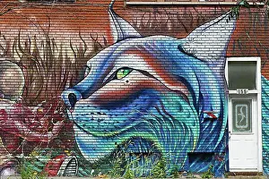 Graffiti Prints: Street art, wall mural, Montreal, Province of, Quebec, Canada, North America