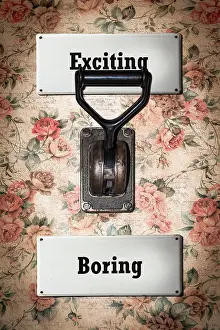 Adventure Prints: Street Sign Exciting versus Boring Street Sign the Direction Way to Exciting versus Boring Copyright: xZoonar