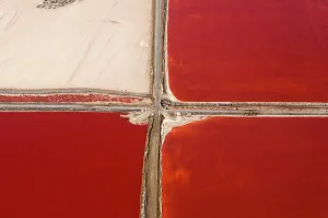 Earth Tones Prints: A striking aerial view of red salt ponds intersected by paths