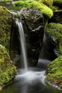 Portland Prints: Strolling Garden, Portland Japanese Garden, Portland, Oregon, USA