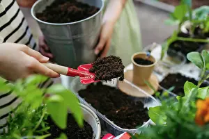 Students Prints: Students growing vegetable and herb seedlings