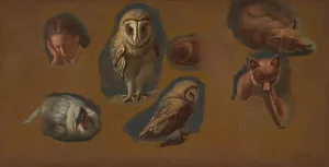 Studies Prints: Studies Fox Barn Owl Peahen Head Young Man Jacques-Laurent Agasse