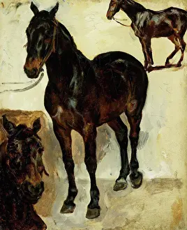 Oil On Canvas Prints: Three Studies of Horses; Trois Etudes de Chevaux