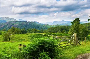 Land Scape Prints: Summer view of Holme Fell and the Langdale Pikes near Coniston in the English Lake District