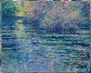 Pond Prints: Summer View of the Lily Pond from the Lawn- Morning