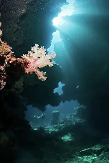 Geography Prints: Sunbeams in underwater cave, Namena Marine Park, Fiji, Fiji Islands, Fiji, Oceania