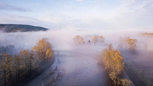 Fall Colors Prints: Sunny Fall Colors During Foggy Morning In Washington