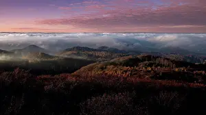 Vista Prints: Sunrise in the Siebengebirge near Koenigswinter on the Rhine
