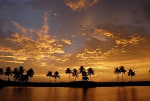 Seascape Prints: Sunset over the Backwaters of Alleppey, Kerala, India, Asia