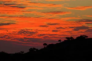 Get Away From It All Prints: Sunset. Mashatu Game Reserve. Nothern Tuli Game Reserve