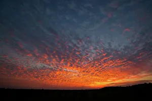 Quality Time Prints: Sunset. Mashatu Game Reserve. Nothern Tuli Game Reserve