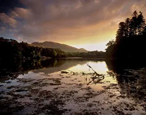 Kerry Prints: Sunset near Lauragh, Beara peninsula, County Kerry, Munster, Republic of Ireland, Europe
