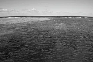 Reise Prints: Surface of the Great Barrier Reef near Port Douglas Surface of the Great Barrier Reef near Port Douglas