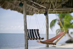 Swing Prints: Swinging Chairs at Turneffe Caye resort, Belize