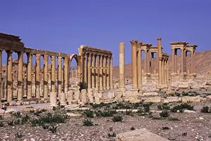 Middle East Prints: Syria, Palmyra, Ancient Roman City, Colonnaded Street, (The Great Colonnade), Tetrapylon